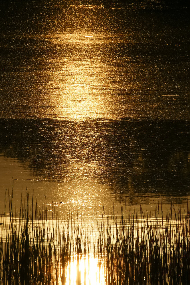 Photograph by Светлана Карнаух