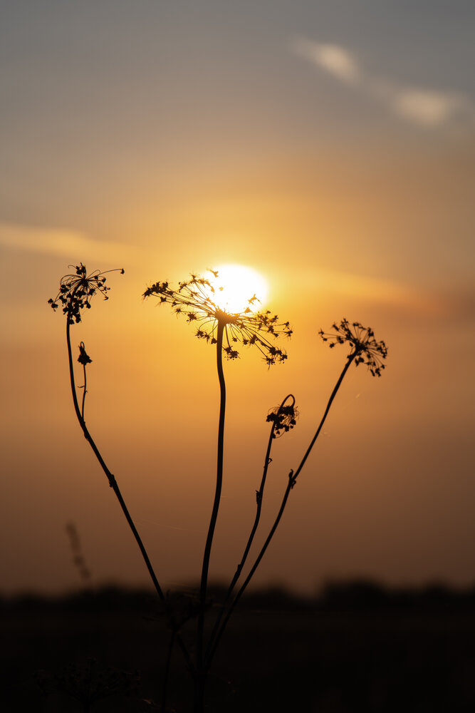Photograph by Светлана Карнаух