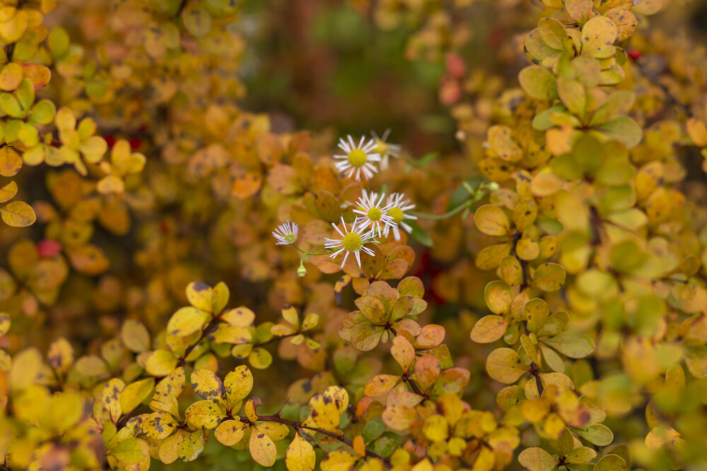 Photograph by Светлана Карнаух