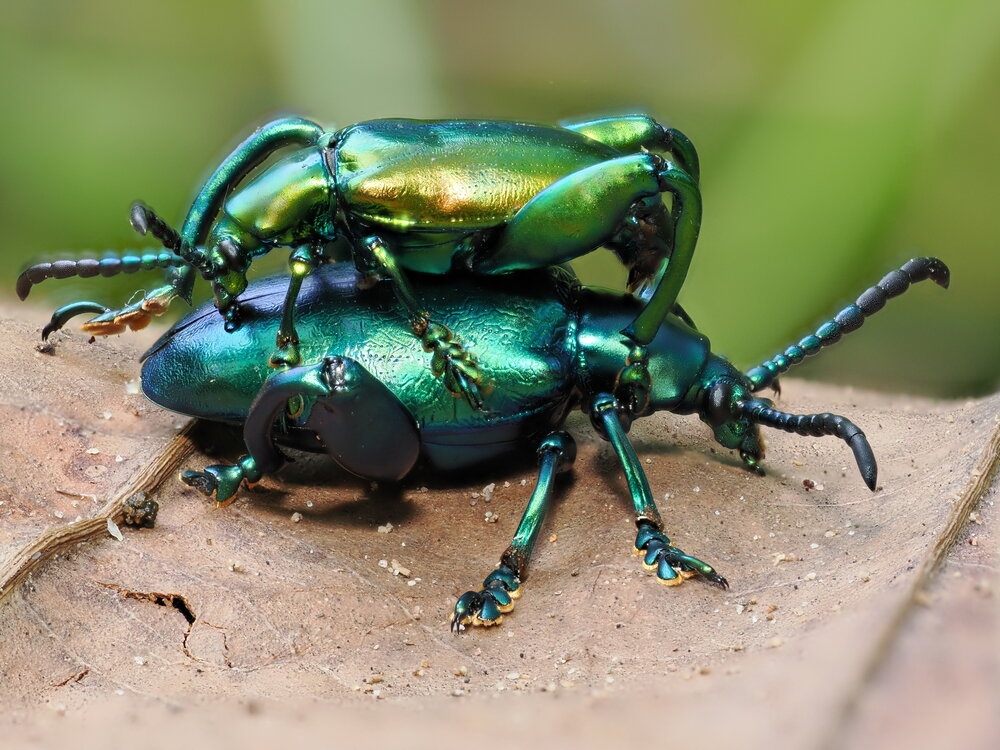 Photograph by Thành Tấn Nguyễn