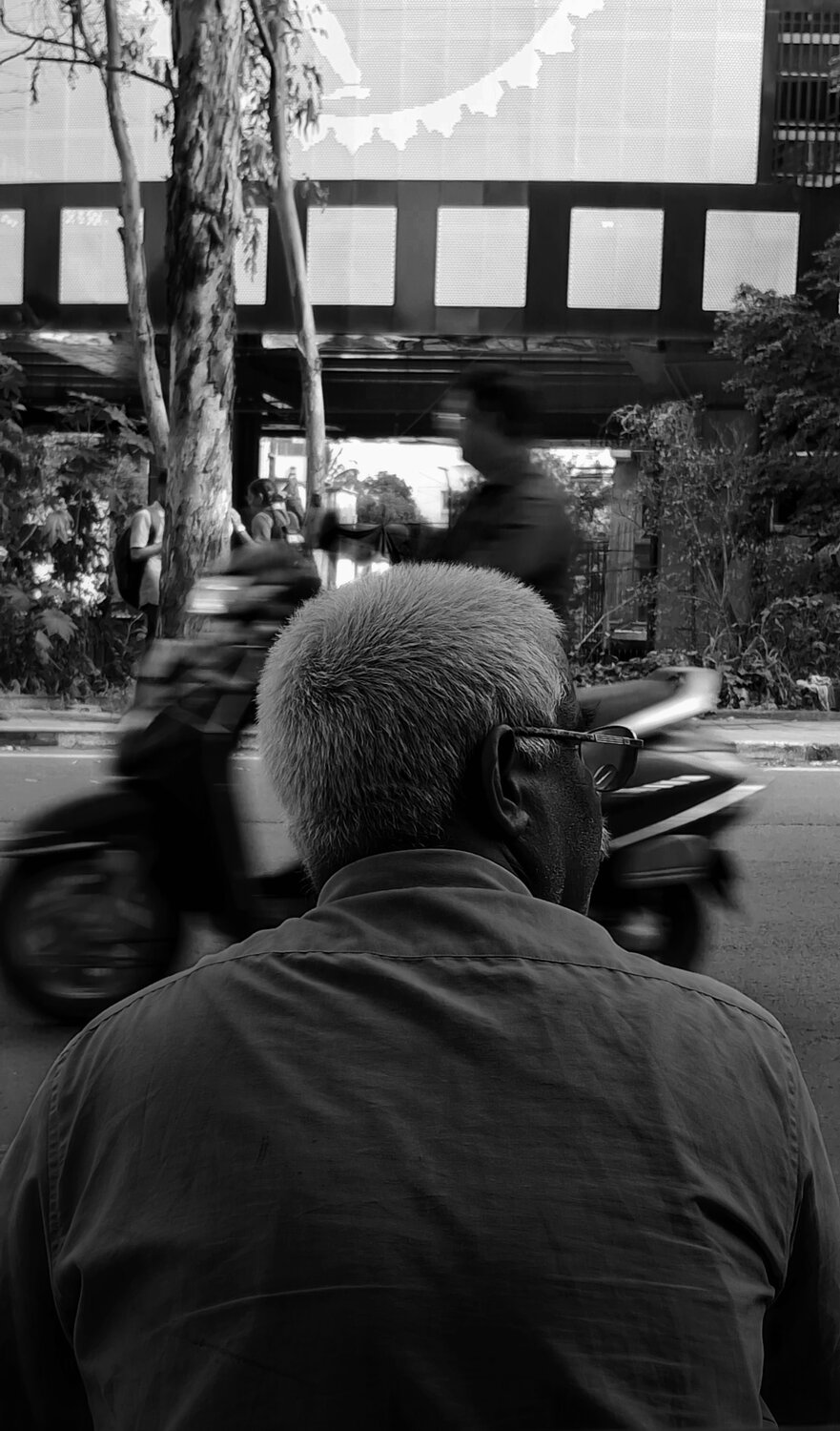 Photo #14018608