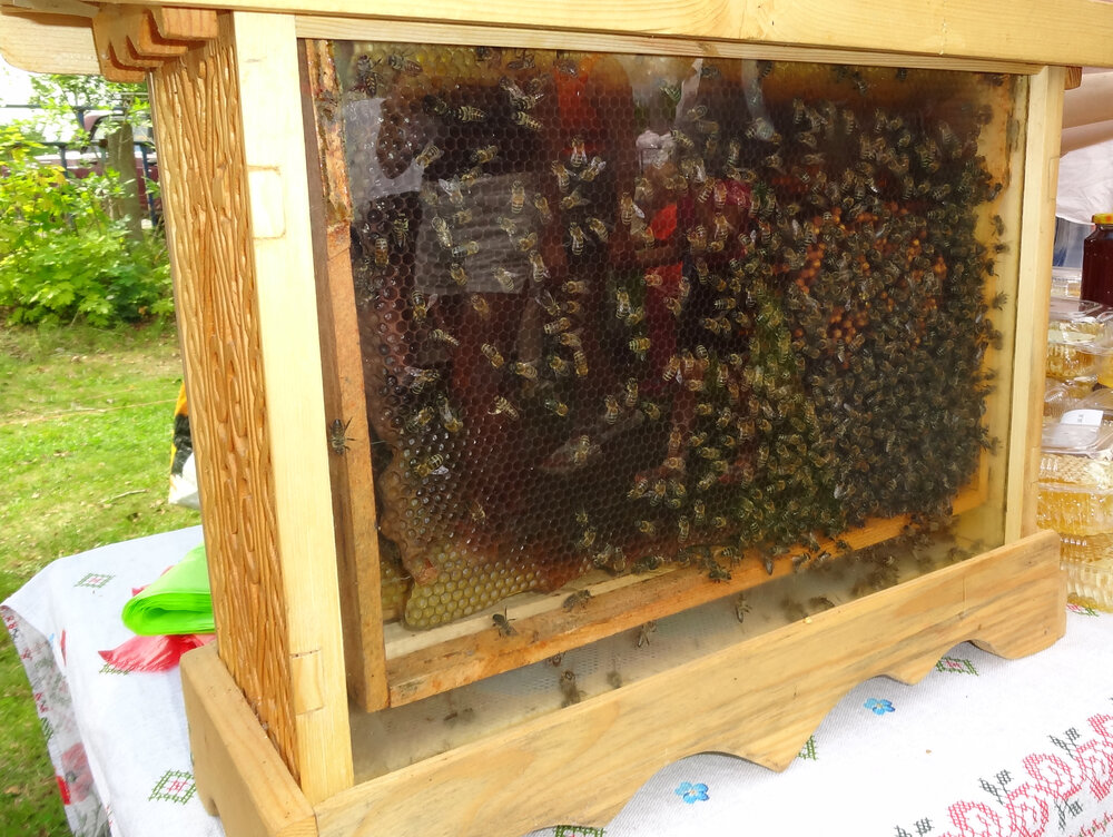 Photo #14018670
