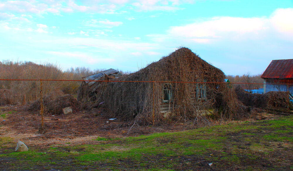 Photograph by Сергей Лутков