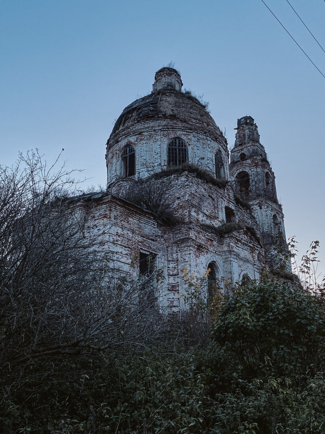 Photo #14018689