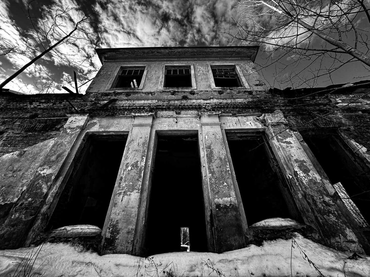 Photo #14018692