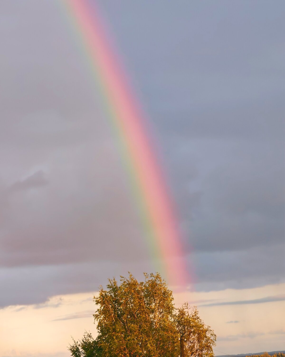 Photo #14018698