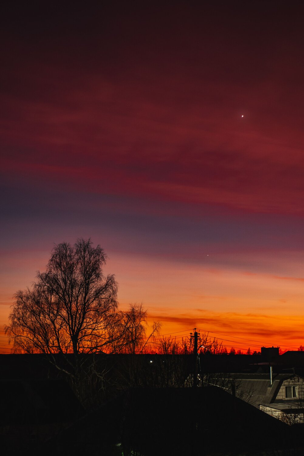 Photo #14018765