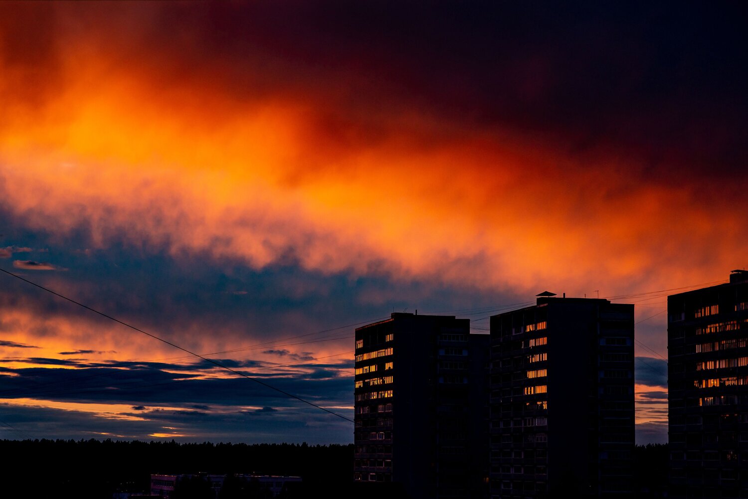 Photo #14018769