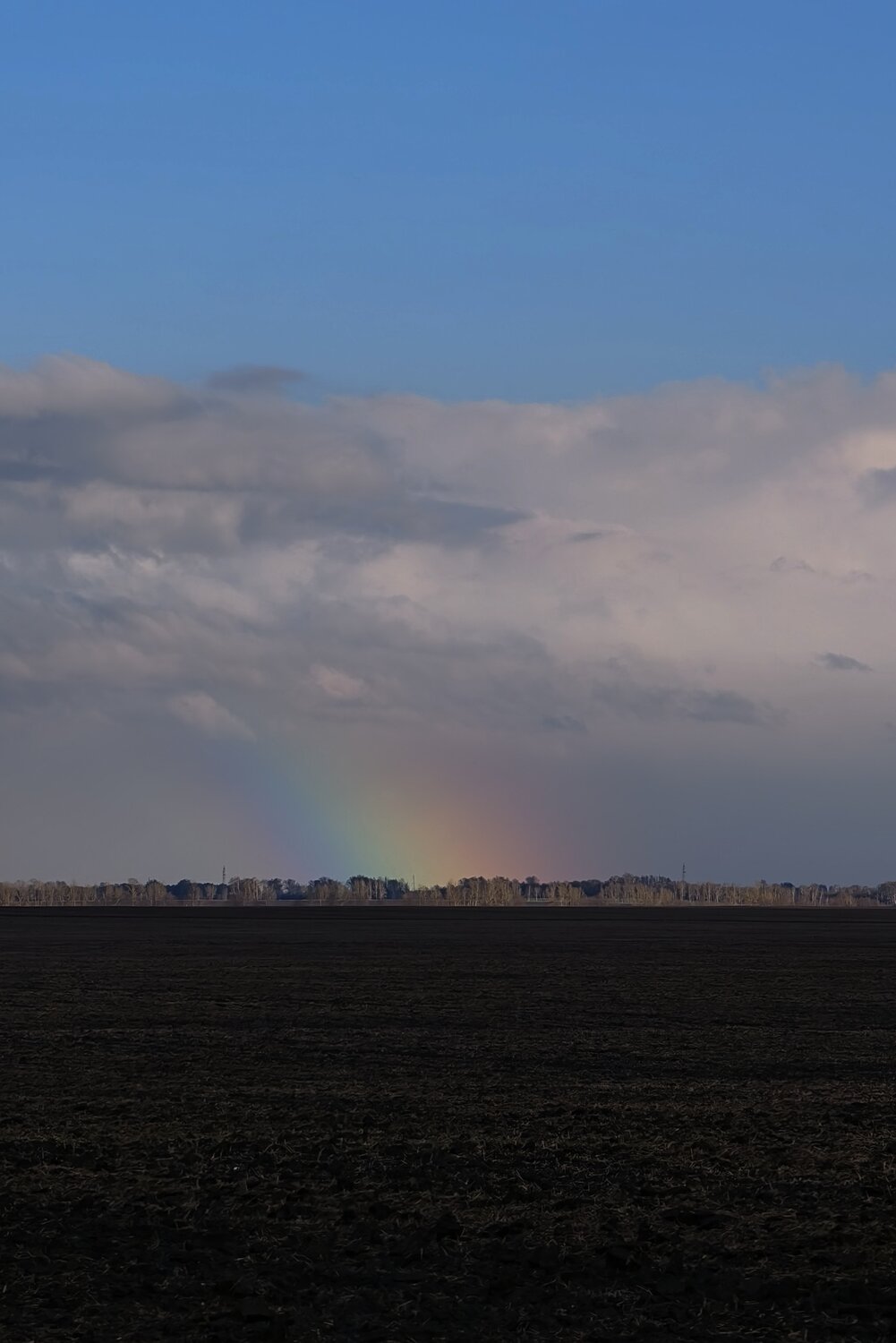 Photo #14018791