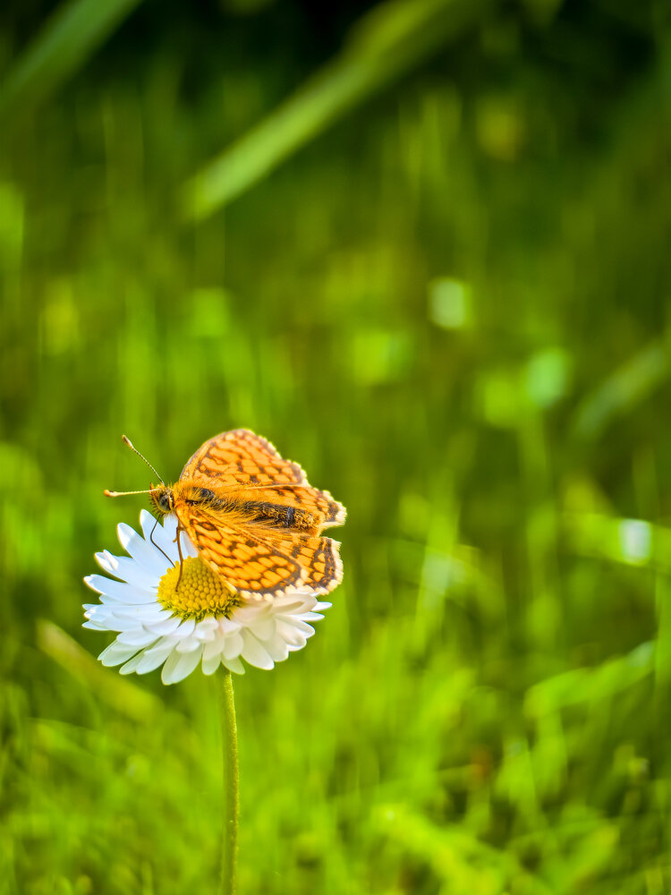 Photograph by Татьяна Емельянова