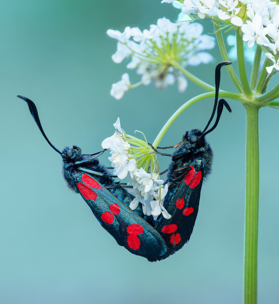 Photograph by hüseyin ter