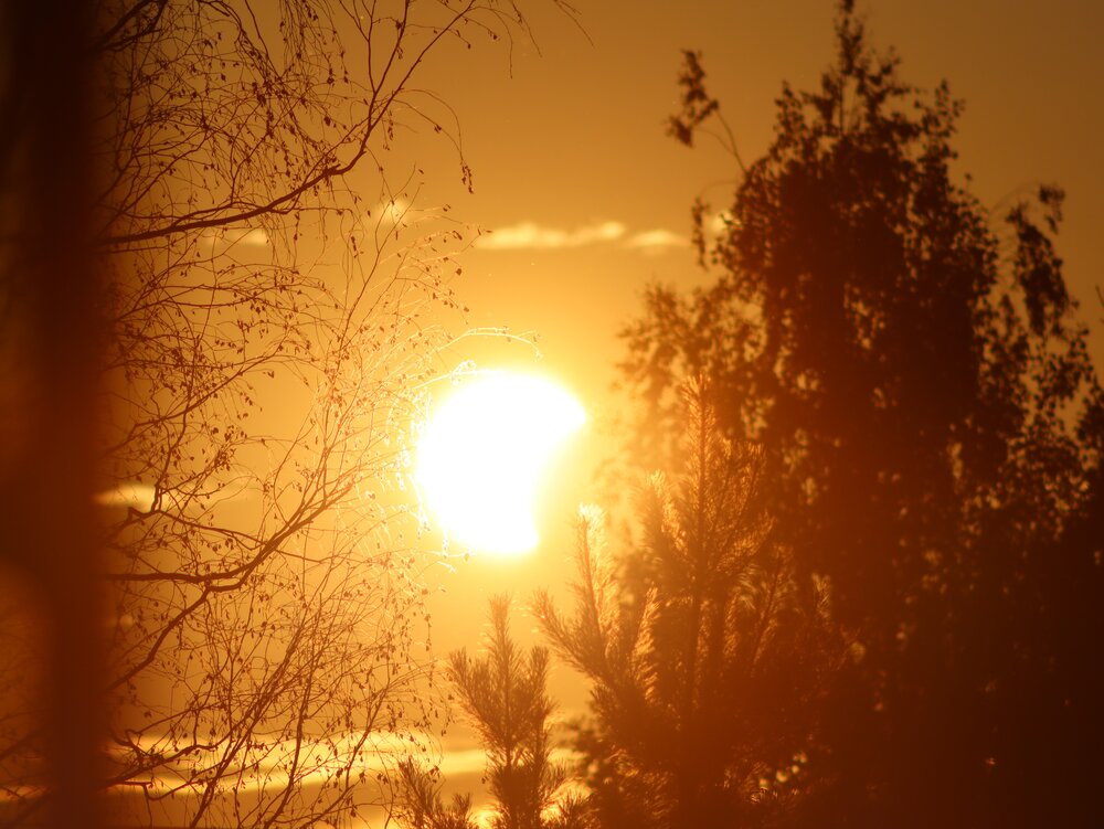 Photograph by Ольга Мольдон