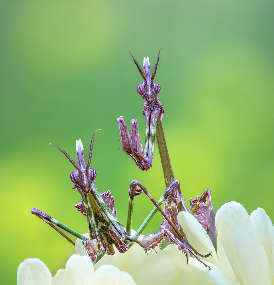 Photograph by hüseyin ter