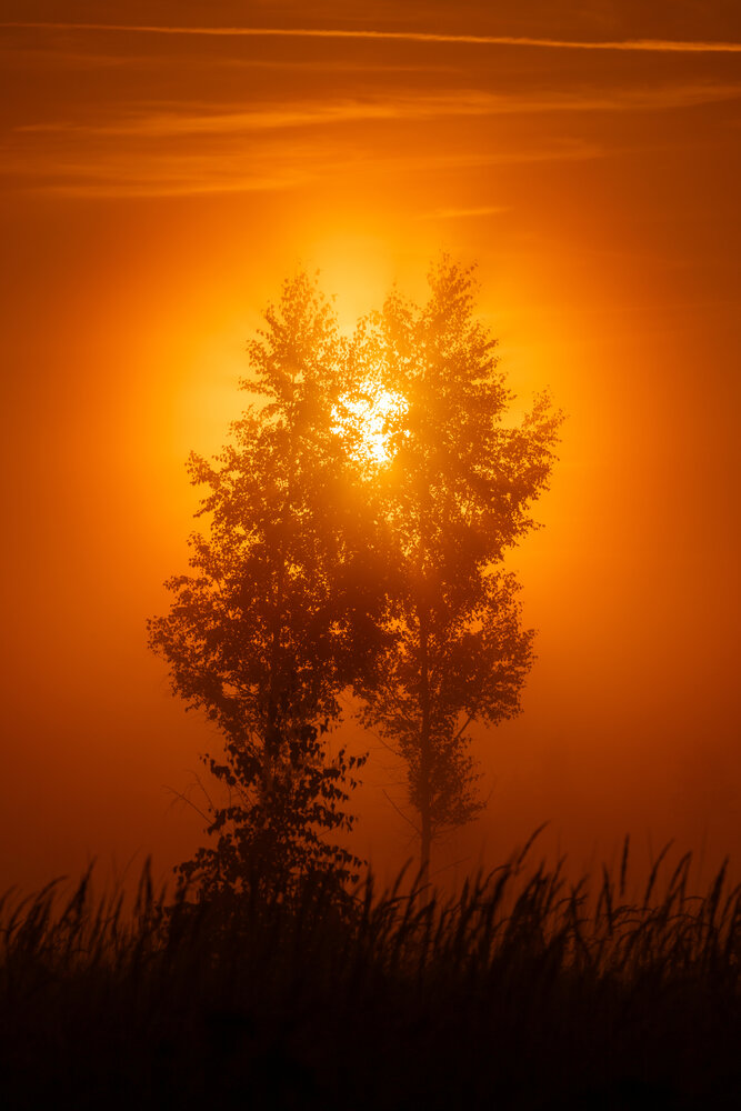 Photograph by Брытков Николай