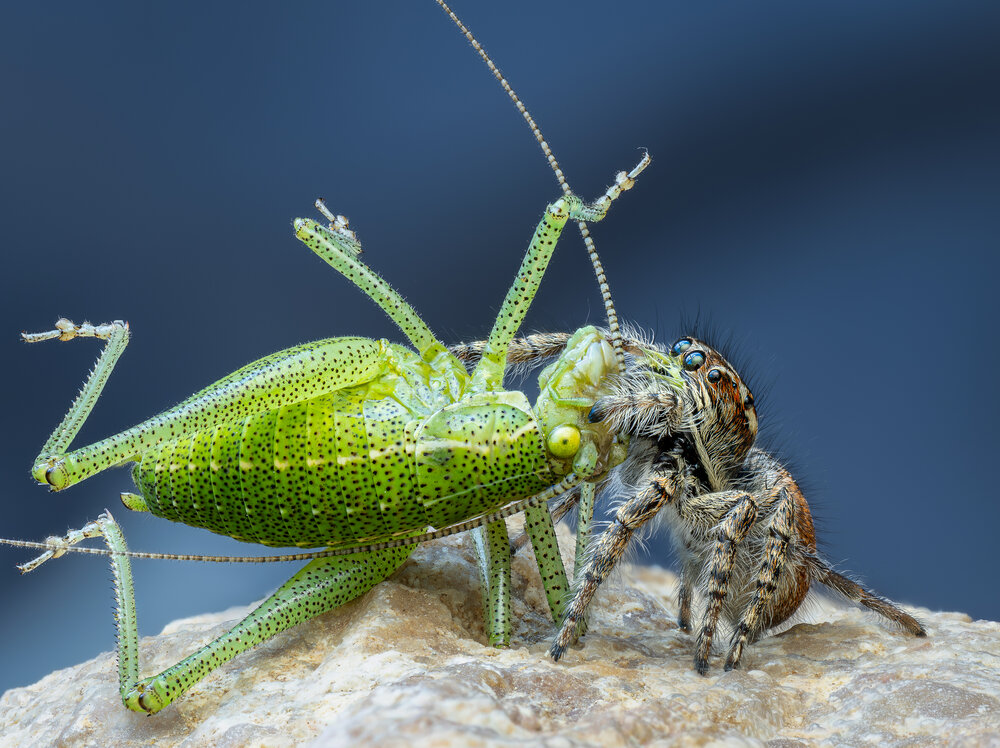 Photograph by hüseyin ter