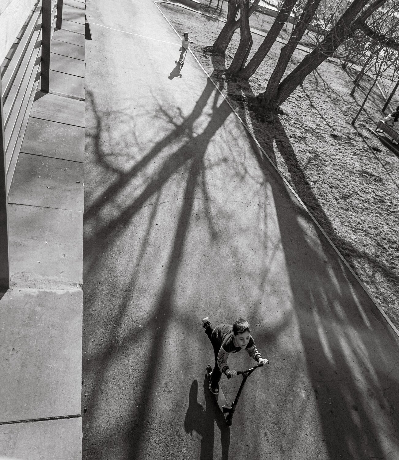Photo #14019613