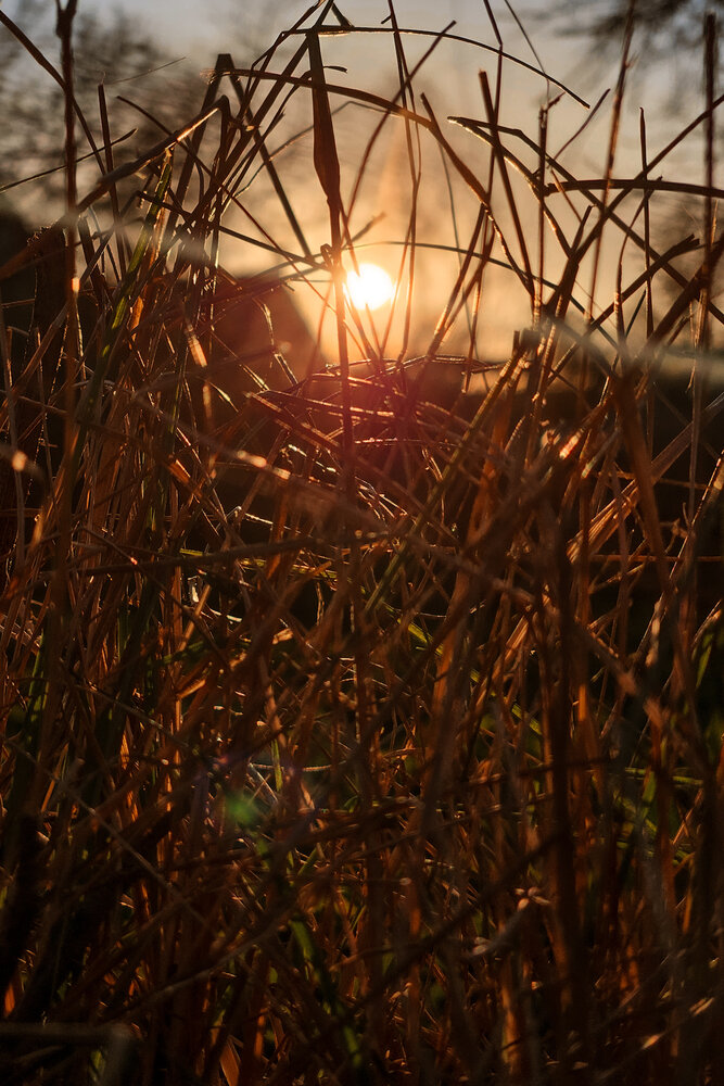 Photograph by Наталья Тополевская