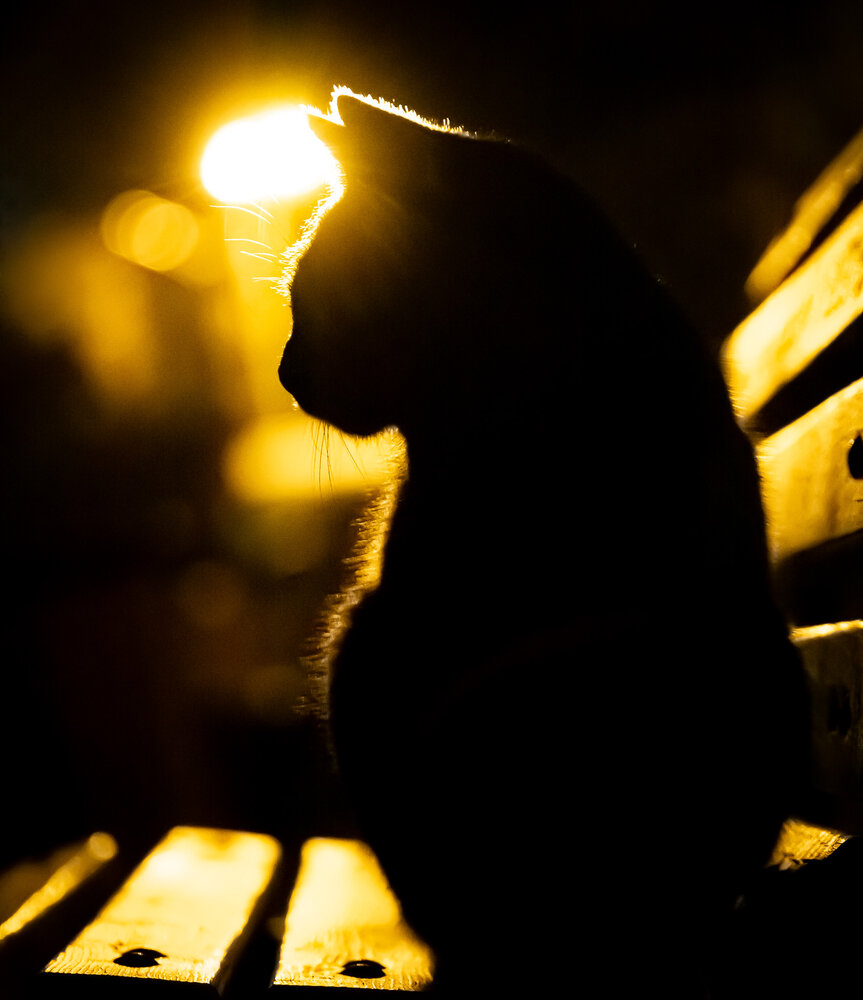 Photograph by hüseyin ter