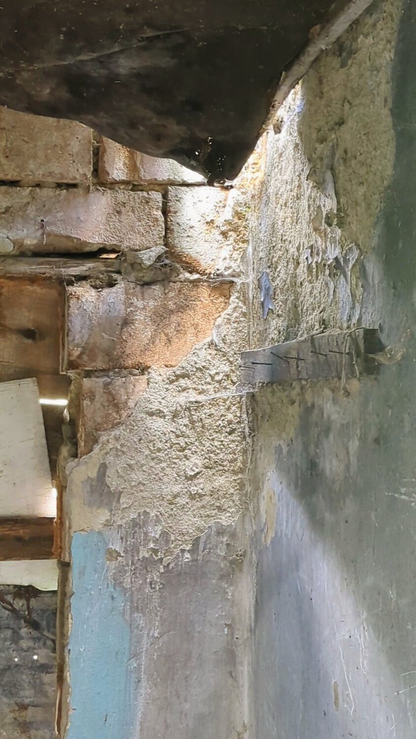 Photo #14020272