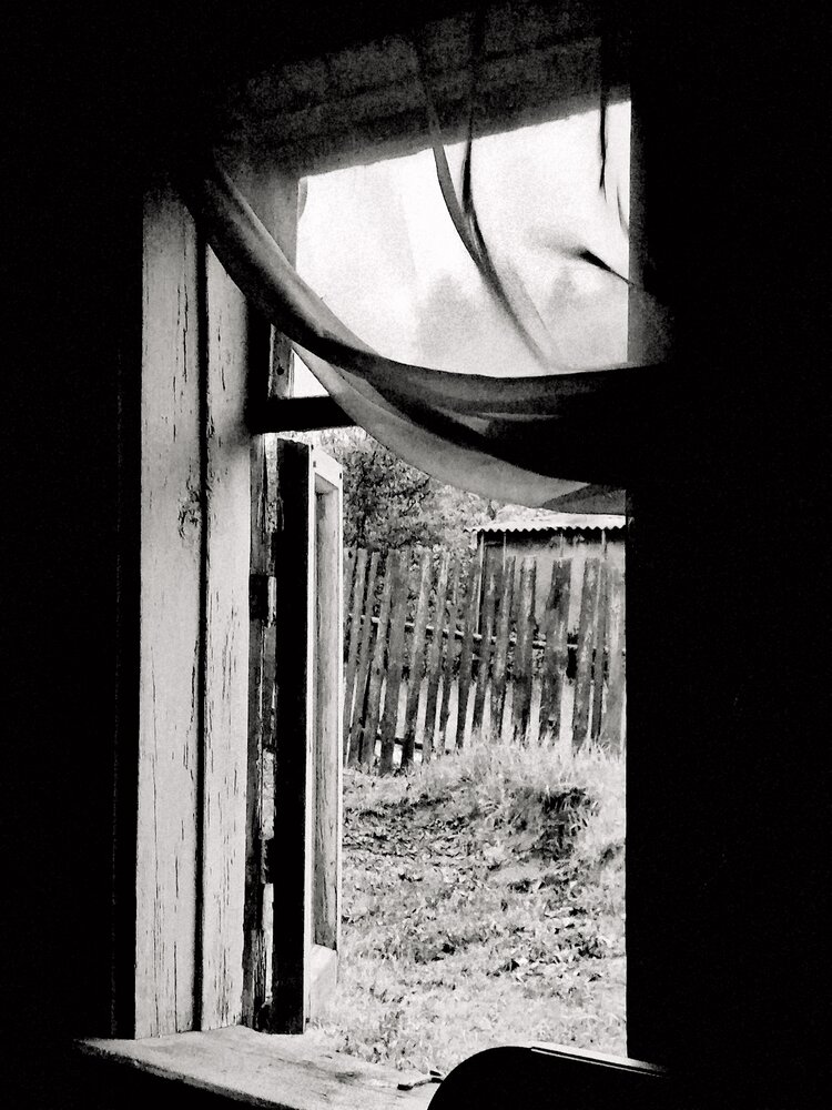 Photo #14020279