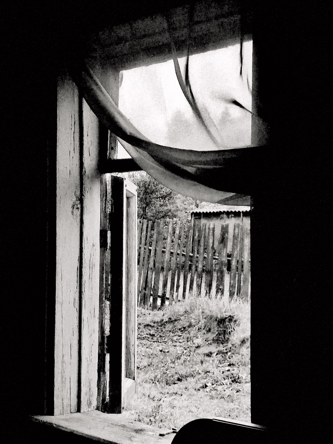 Photo #14020279