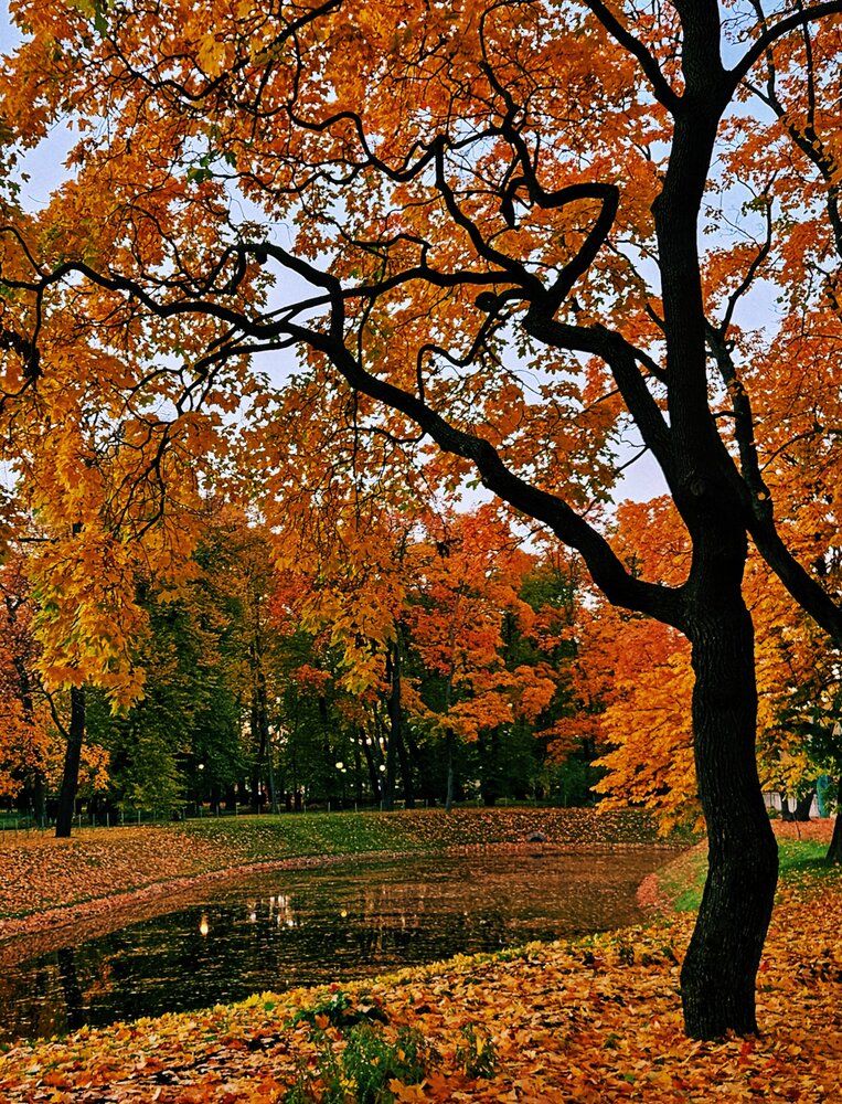 Photograph by Наталья Тополевская