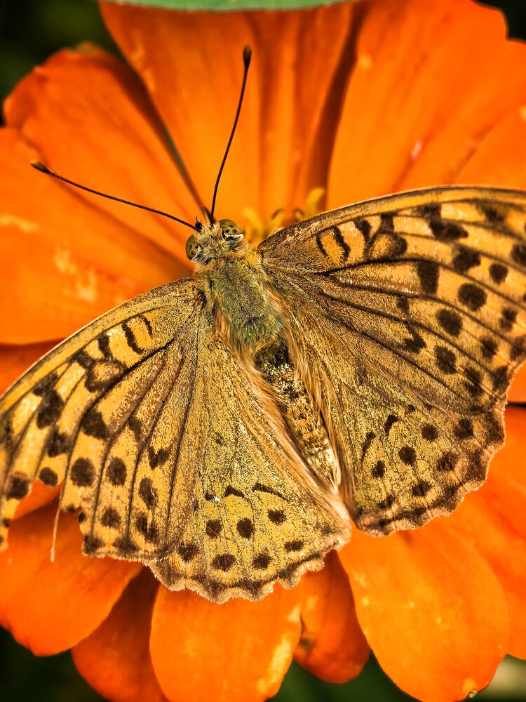 Photograph by Кривенко Владимир