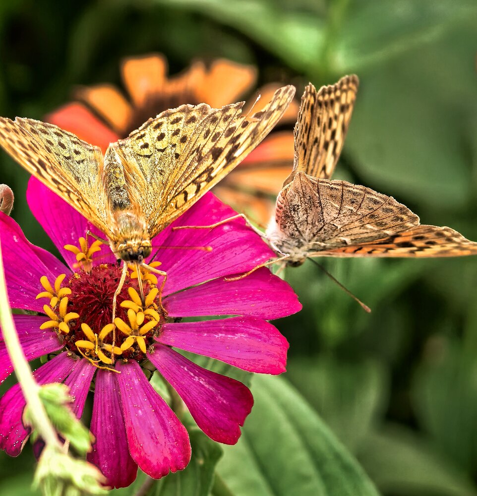 Photograph by Кривенко Владимир