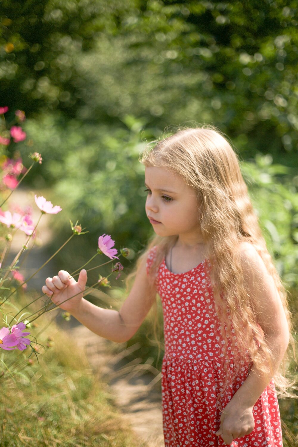 Photo #14020330
