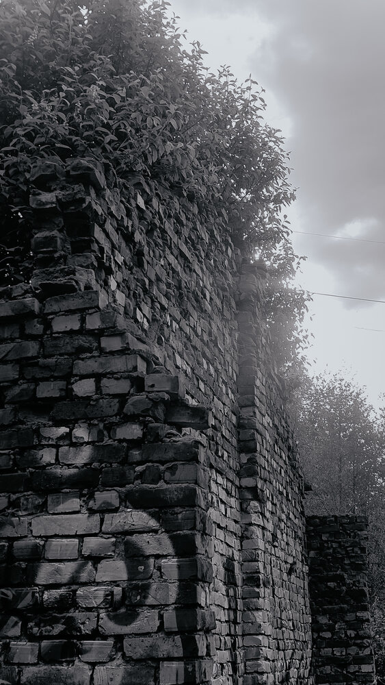 Photograph by Наталья Тополевская