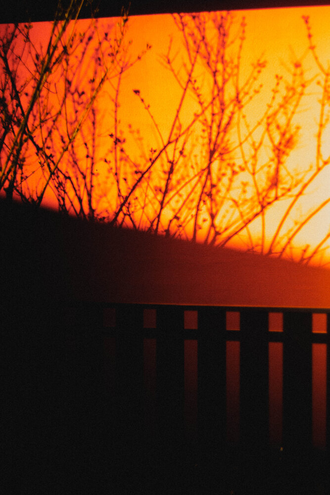 Photograph by Ирина Дьяченко