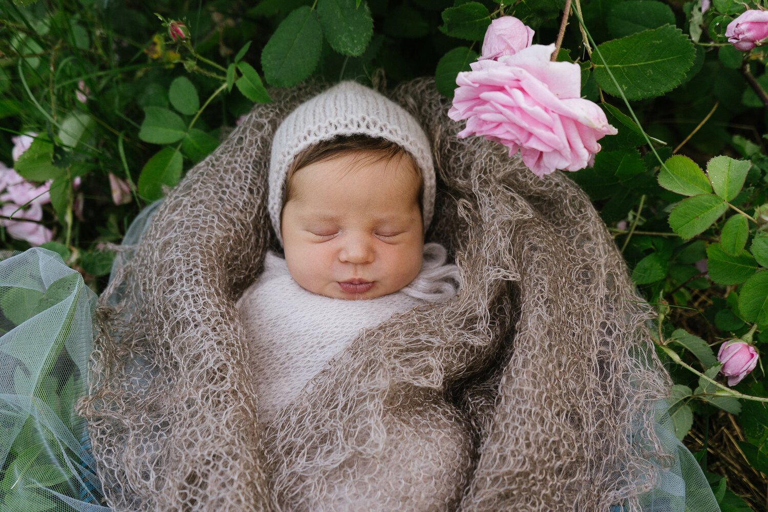 Photo #14020684