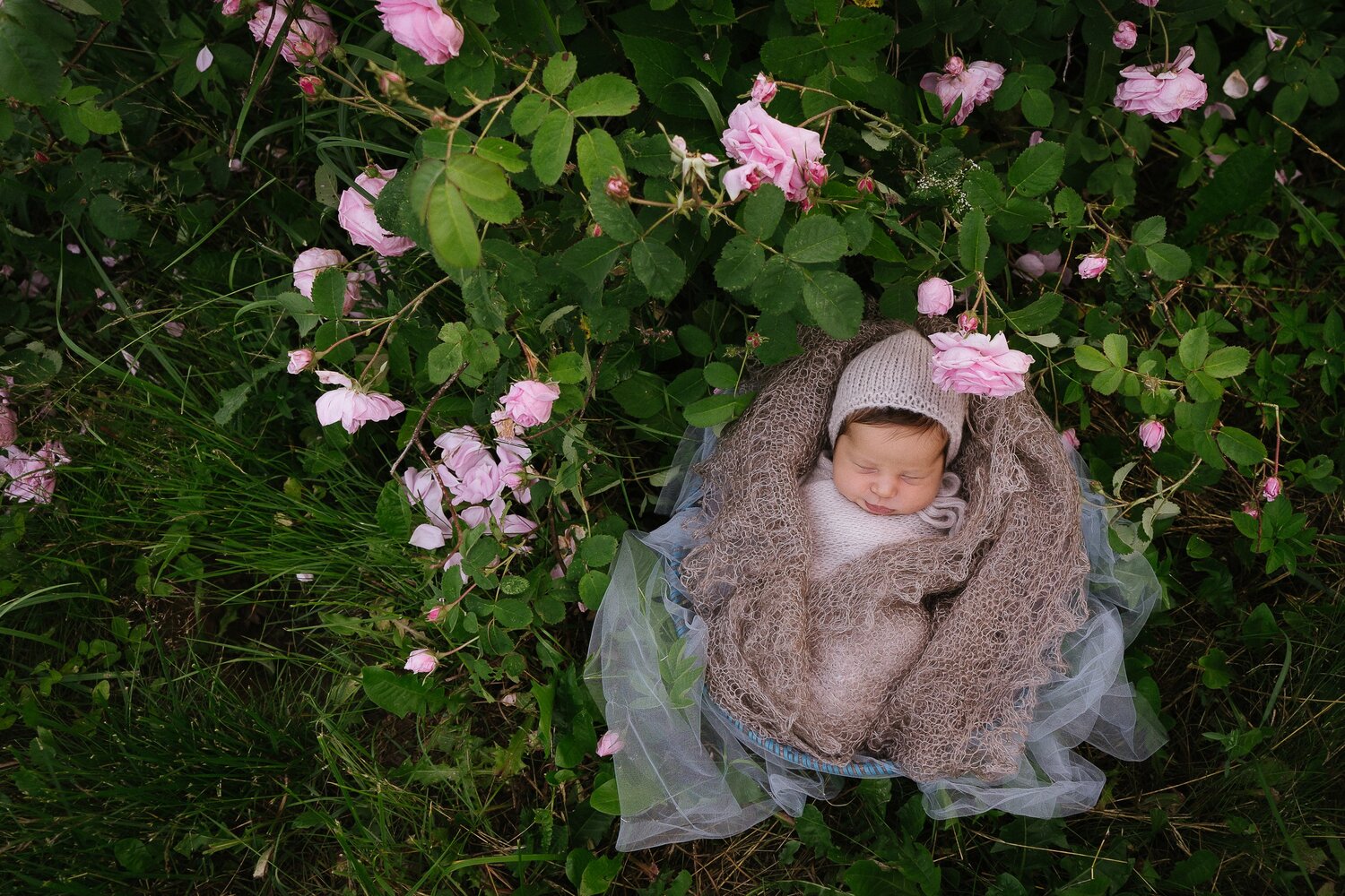 Photo #14020686