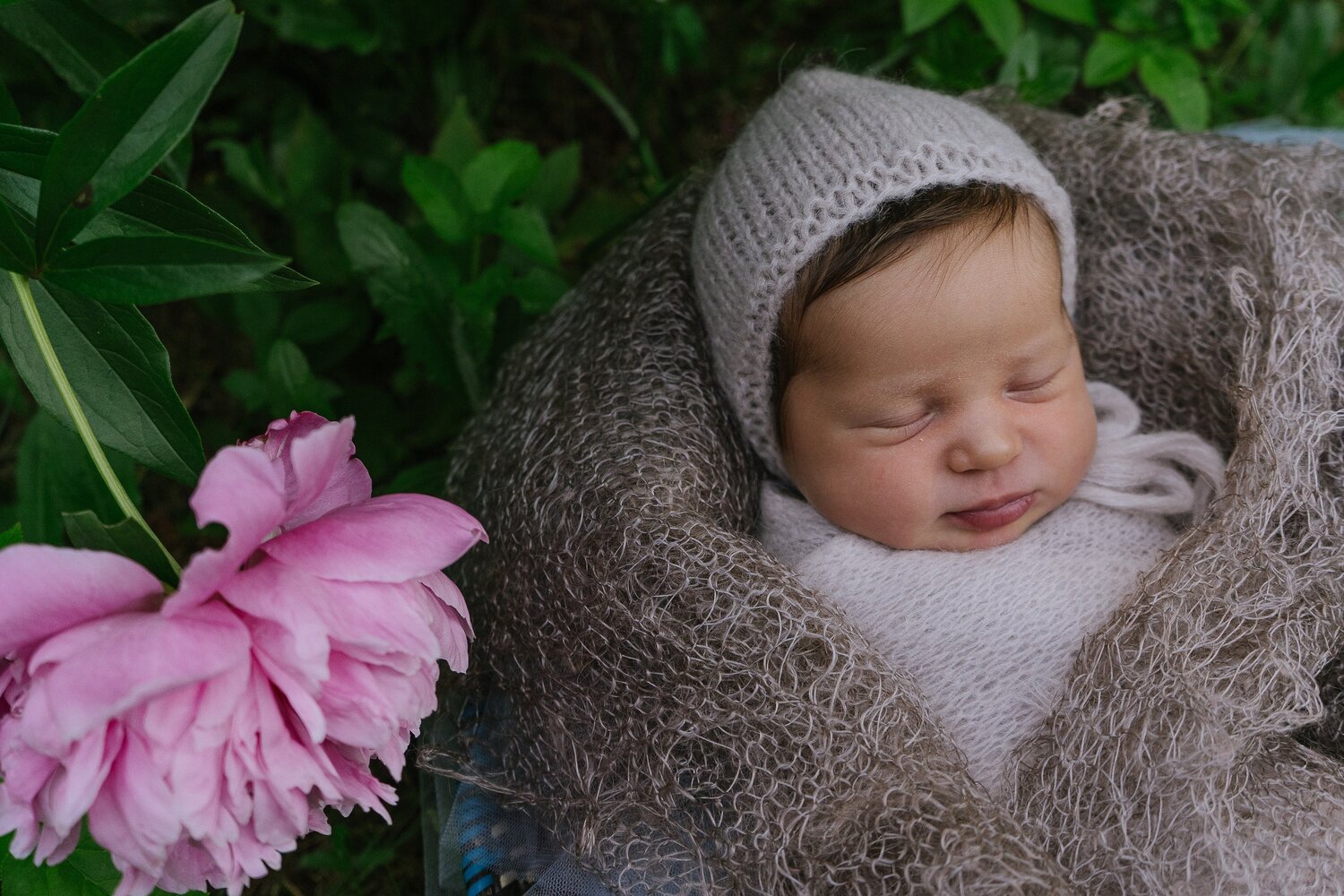 Photo #14020692