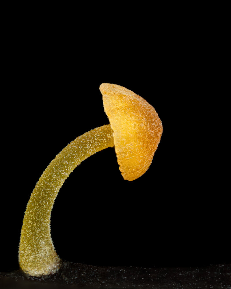 Photograph by hüseyin ter