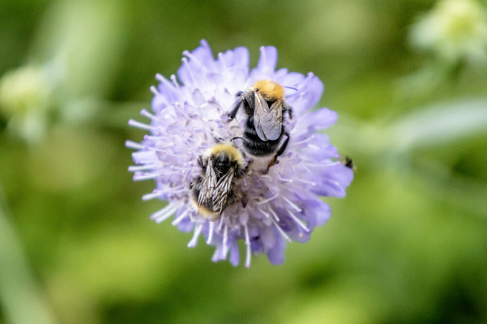 Photograph by Александр Новиков