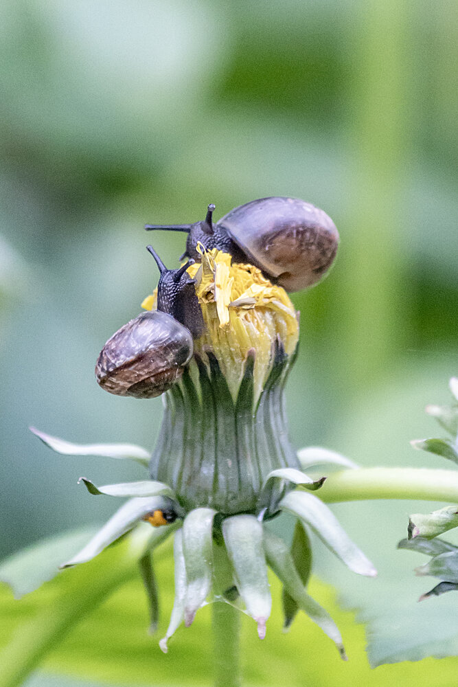 Photograph by Александр Новиков