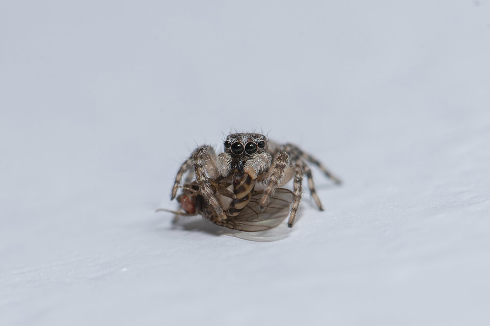 Photograph by Aлена Плясова
