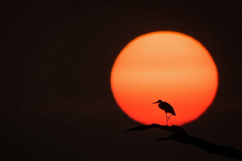 Photograph by Chamara Ranathunga
