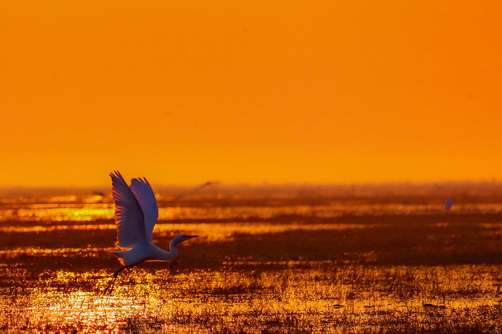 Photograph by Arkachanda Roy