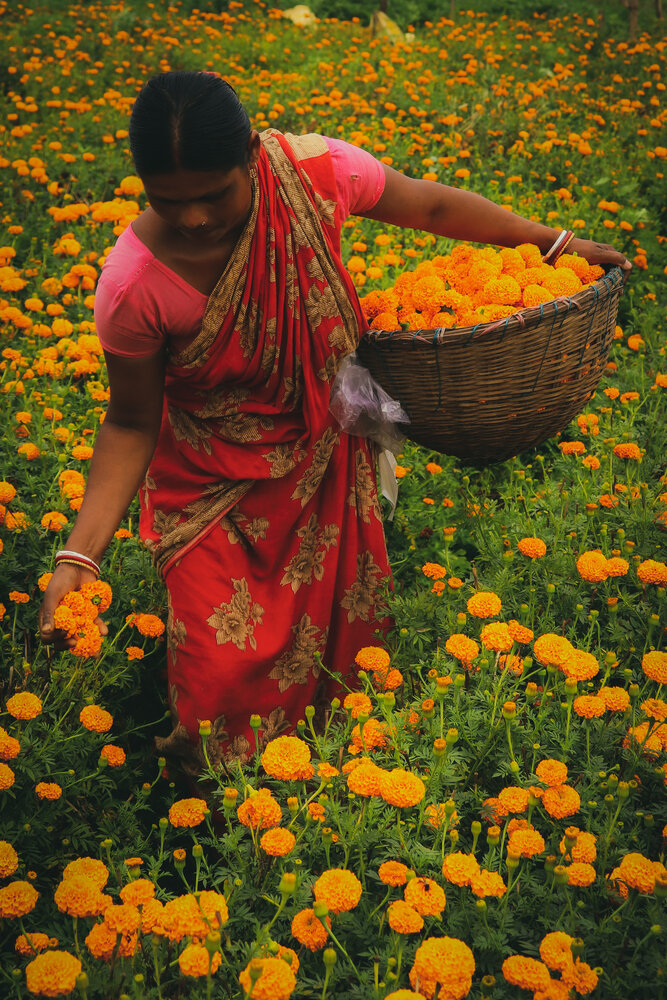 Photograph by Arkachanda Roy