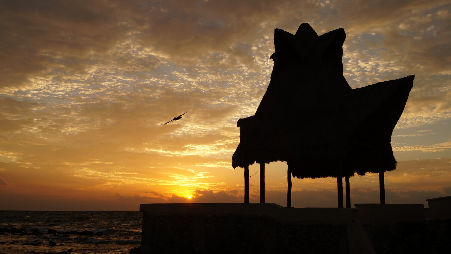 Photo #14021233