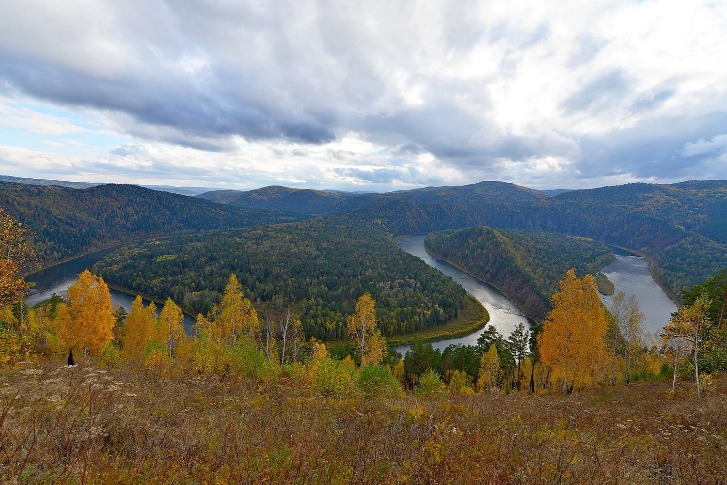Photo #14021272