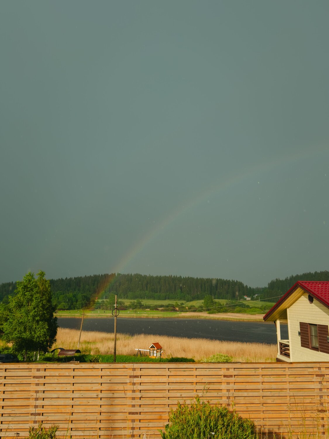 Photo #14021378