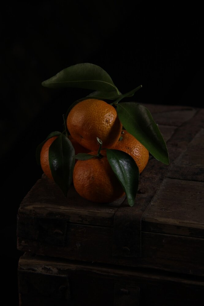 Photograph by Яна Сальникова