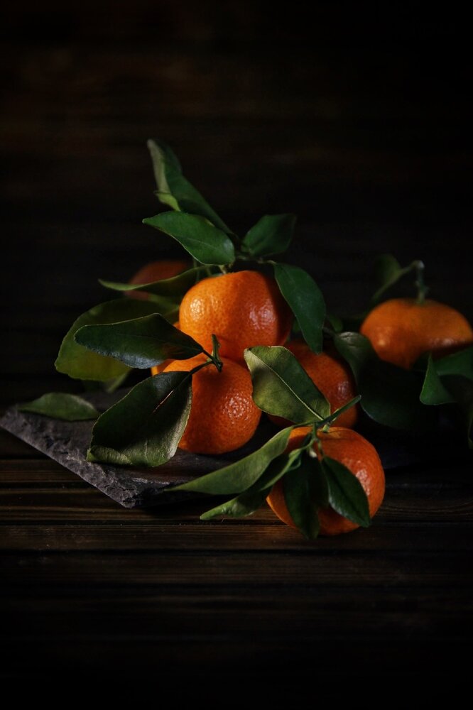 Photograph by Яна Сальникова