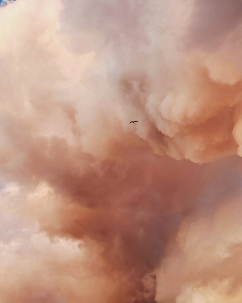 Photograph by Анна Власова