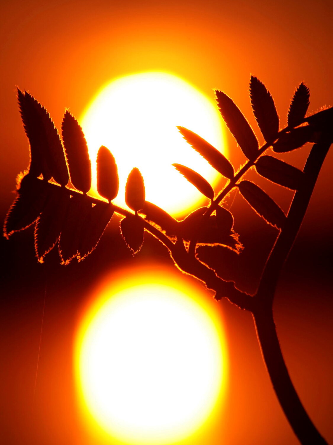 Photo #14021479