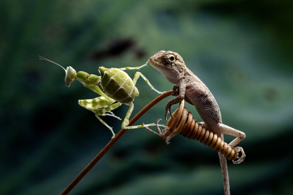 Photograph by Phat Huynh