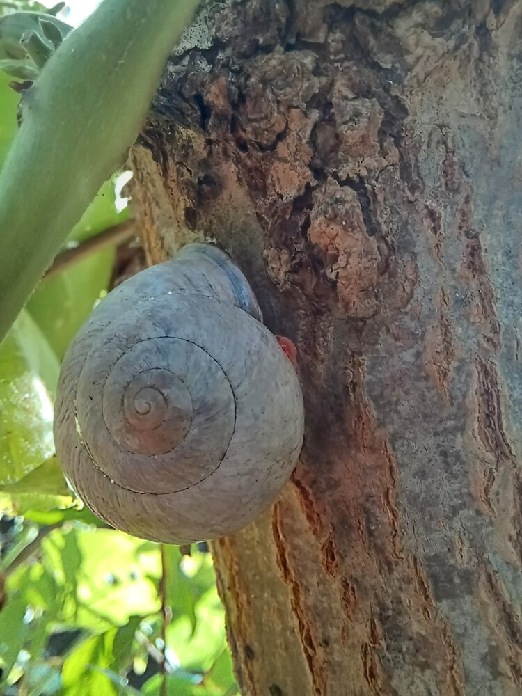Tiny Neighbors